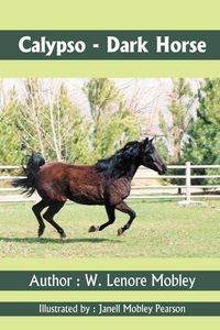 Produktbild: Calypso - Dark Horse