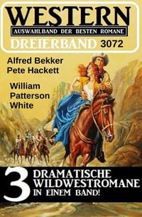 Produktbild: Western Dreierband 3072