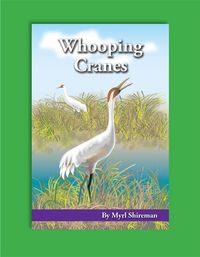 Produktbild: Whooping Cranes