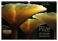 Produktbild: Pilze - die Stars der Waldb&uuml;hne (Wandkalender 2027 DIN A3 quer), CALVENDO Monatskalender