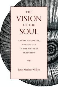 Produktbild: The Vision of the Soul