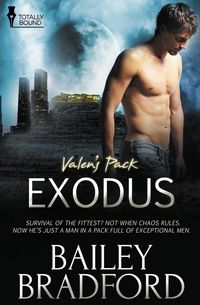 Produktbild: Valen's Pack