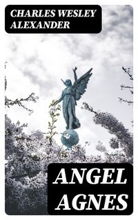 Produktbild: Angel Agnes