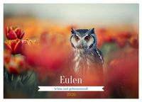 Produktbild: Eulen - sch&ouml;n und geheimnisvoll (Wandkalender 2026 DIN A4 quer), CALVENDO Monatskalender