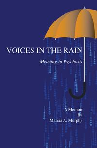 Produktbild: Voices in the Rain