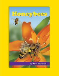 Produktbild: Honeybees