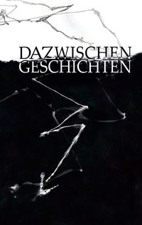 Produktbild: Dazwischengeschichten