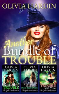 Produktbild: Another Bundle of Trouble (The Lynlee Lincoln Series Books 4-6)