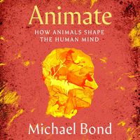 Produktbild: Animate