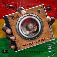 Picture Perfect (2CD-Set Digipak)