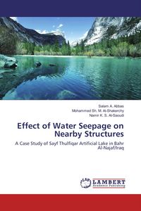 Produktbild: Effect of Water Seepage on Nearby Structures