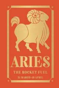 Produktbild: Aries: The Rocket Fuel