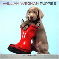 Bild vom Artikel Wegman, W: William Wegman Puppies vom Autor William Wegman