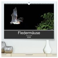 Produktbild: Flederm&auml;use - J&auml;ger der Nacht (hochwertiger Premium Wandkalender 2026 DIN A2 quer), Kunstdruck in Hochglanz