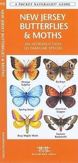 Produktbild: New Jersey Butterflies & Moths