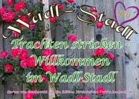Produktbild: Trachten stricken - Willkommen im Wadl-Stadl