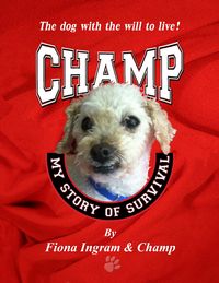 Produktbild: Champ