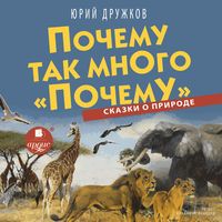 Produktbild: Pochemu tak mnogo &laquo;pochemu&raquo;. Skazki o prirode