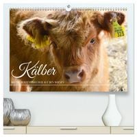 Produktbild: K&auml;lber - Kleine Herzensbrecher auf den Wiesen (hochwertiger Premium Wandkalender 2026 DIN A2 quer), Kunstdruck in Hochglanz