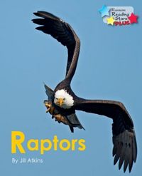 Produktbild: Atkins Jill: Raptors