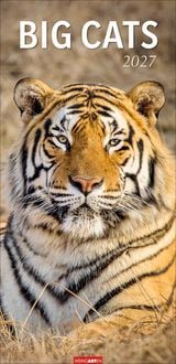 Produktbild Big Cats Kalender 2027