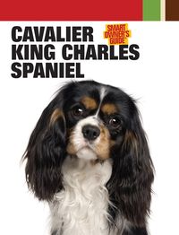 Produktbild: Cavalier King Charles Spaniel