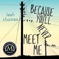 Produktbild: Because You'll Never Meet Me