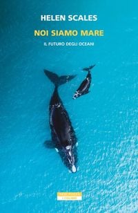 Produktbild: Noi siamo mare. Il futuro degli oceani