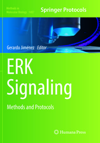 Produktbild: ERK Signaling