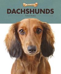 Produktbild: Dachshunds