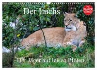 Produktbild: Der Luchs - Der J&auml;ger auf leisen Pfoten (Wandkalender 2027 DIN A3 quer), CALVENDO Monatskalender