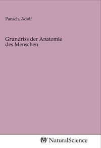 Produktbild: Grundriss der Anatomie des Menschen