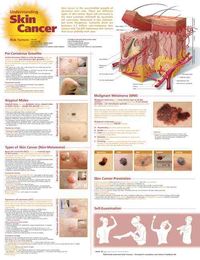 Produktbild: Understanding Skin Cancer Anat