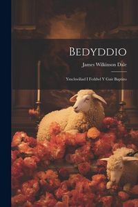 Produktbild: Bedyddio: Ymchwiliad i Feddwl y Gair Baptizo