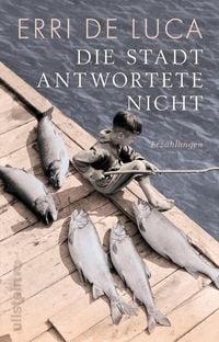 Produktbild: Die Stadt antwortete nicht