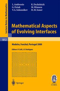 Produktbild: Mathematical Aspects of Evolving Interfaces