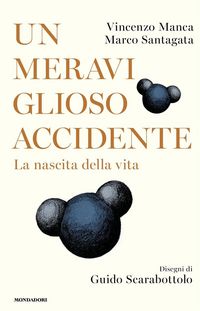 Produktbild: Un meraviglioso accidente. La nascita della vita