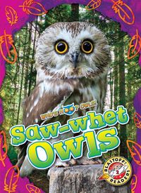 Produktbild: Saw-Whet Owls
