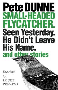 Produktbild: Small-headed Flycatcher. Seen Yesterday. He Didn't Leave His Name.