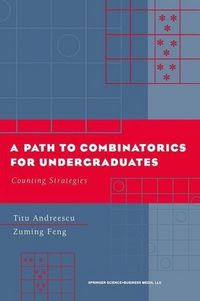 Produktbild: A Path to Combinatorics for Undergraduates