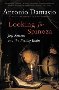 Produktbild: Looking for Spinoza