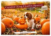 Produktbild: Cavalier King Charles Spaniel - Ein Jahr voller Erlebnisse (Wandkalender 2027 DIN A3 quer), CALVENDO Monatskalender