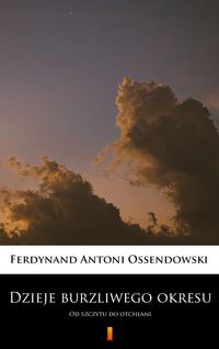 Produktbild: Dzieje burzliwego okresu