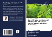 Produktbild: La actividad antitumoral del XAP en las c&eacute;lulas cancer&iacute;genas g&aacute;stricas humanas