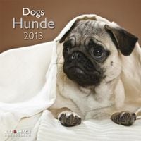 Produktbild: Hunde A&I 2013