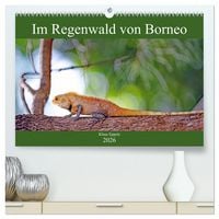 Produktbild: Im Regenwald von Borneo (hochwertiger Premium Wandkalender 2026 DIN A2 quer), Kunstdruck in Hochglanz