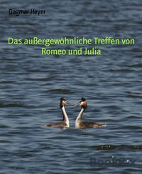 Produktbild: Das au&szlig;ergew&ouml;hnliche Treffen von Romeo und Julia
