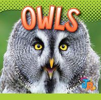 Produktbild: Owls