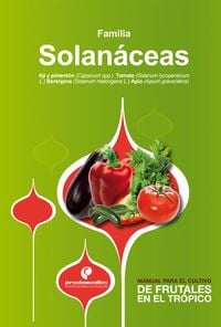Produktbild: Manual para el cultivo de hortalizas. Familia Solan&aacute;ceas