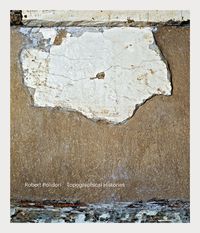 Produktbild: Topographical Histories